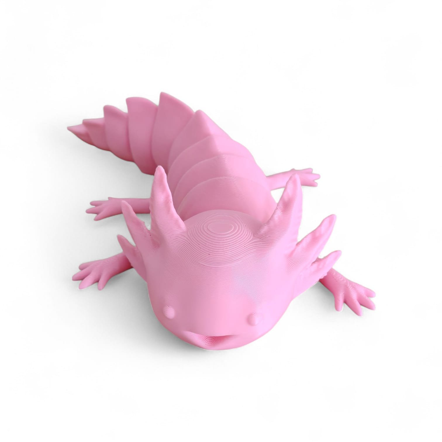 Axolote articulado em cor personalizada — 3 / 3